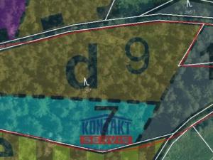 Prodej lesa, Budětice - Vlkonice, 32746 m2