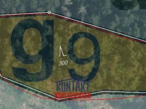 Prodej lesa, Budětice - Vlkonice, 32746 m2