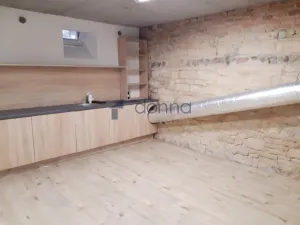 Pronájem komerční nemovitosti, Praha, Mikovcova, 18 m2