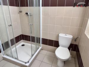 Pronájem bytu 1+kk, Česká Lípa, Svojsíkova stezka, 30 m2