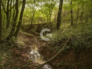 Prodej zahrady, Újezdec, 1891 m2