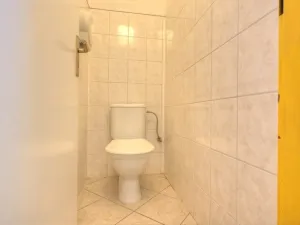 Prodej obchodního prostoru, Studenec, 265 m2