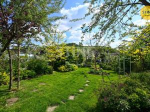 Pronájem rodinného domu, Mikulov, Bezručova, 204 m2