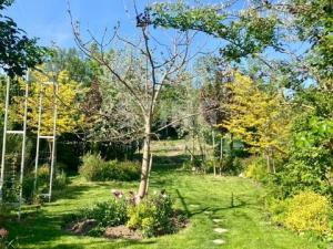 Pronájem rodinného domu, Mikulov, Bezručova, 204 m2