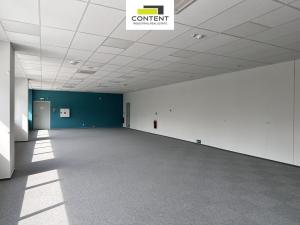 Pronájem výrobních prostor, Most - Čepirohy, Žatecká, 4500 m2