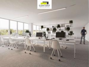 Pronájem výrobních prostor, Tachov - Oldřichov, 18200 m2