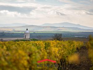 Prodej bytu 2+kk, Strachotín, Šakvická, 33 m2