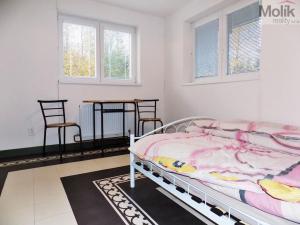 Prodej rodinného domu, Lobendava, 325 m2