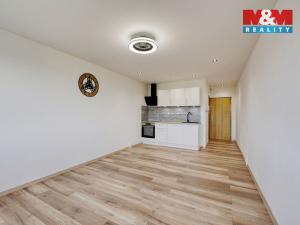 Prodej bytu 1+kk, Horní Bříza, U Vrbky, 25 m2