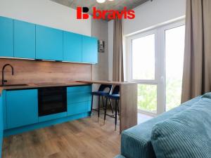 Pronájem bytu 1+kk, Brno - Horní Heršpice, Bohunická, 35 m2