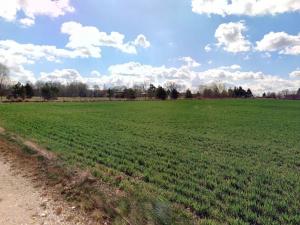 Prodej pole, Lišice, 205582 m2