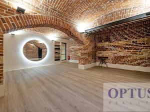 Pronájem bytu 6+kk a větší, Praha - Staré Město, Dušní, 218 m2