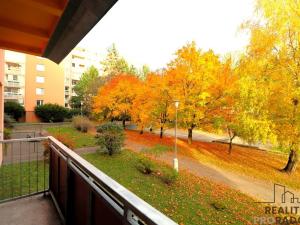 Pronájem bytu 3+1, Brno, Krymská, 75 m2