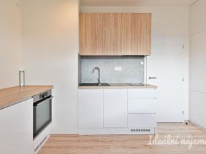 Pronájem bytu 1+kk, Brno, Křenová, 28 m2