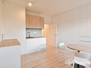 Pronájem bytu 1+kk, Brno, Křenová, 28 m2