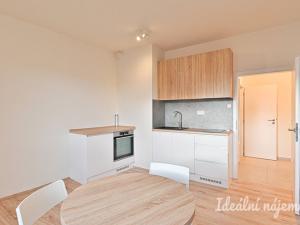 Pronájem bytu 1+kk, Brno, Křenová, 28 m2