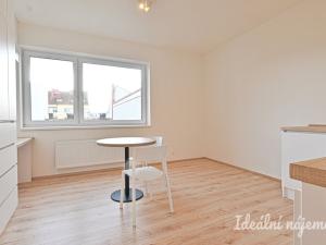 Pronájem bytu 1+kk, Brno, Křenová, 28 m2