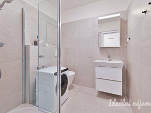 Pronájem bytu 1+kk, Brno, Křenová, 28 m2