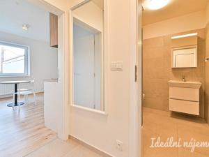 Pronájem bytu 1+kk, Brno, Křenová, 28 m2