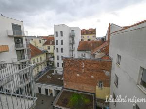 Pronájem bytu 1+kk, Brno, Křenová, 28 m2