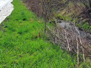 Prodej pozemku pro bydlení, Sadská, 1267 m2