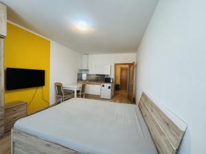 Pronájem bytu 1+kk, Zlín, Na Honech I, 27 m2