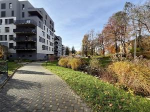 Pronájem bytu 2+kk, Liberec - Liberec I-Staré Město, Vítězná, 56 m2