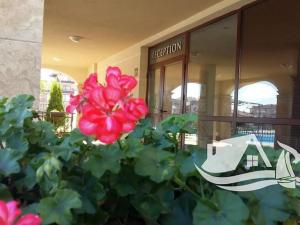 Prodej bytu 1+kk, Sveti Vlas, Bulharsko, 28 m2