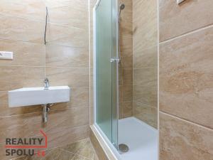 Pronájem bytu 2+kk, Plzeň - Jižní Předměstí, Karlova, 56 m2