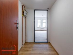 Pronájem bytu 2+kk, Plzeň - Jižní Předměstí, Karlova, 56 m2