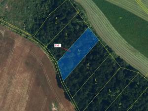 Dražba lesa, Přešovice, 1947 m2