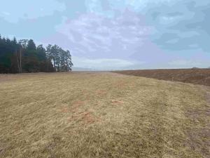 Dražba louky, Hospříz, 7435 m2