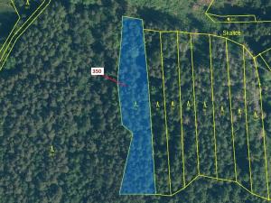 Dražba lesa, Kovčín, 3476 m2