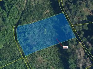 Dražba lesa, Benešov u Semil, 2540 m2