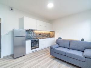 Pronájem bytu 1+kk, Kralupy nad Vltavou, S. K. Neumanna, 33 m2