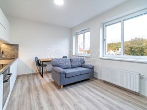 Pronájem bytu 1+kk, Kralupy nad Vltavou, S. K. Neumanna, 33 m2