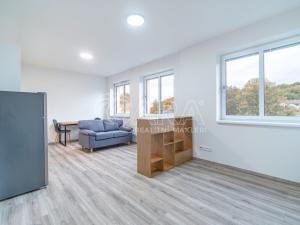 Pronájem bytu 1+kk, Kralupy nad Vltavou, S. K. Neumanna, 33 m2