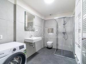 Pronájem bytu 1+kk, Kralupy nad Vltavou, S. K. Neumanna, 33 m2