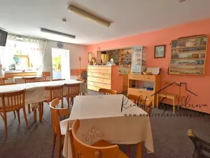 Prodej apartmánu, Hranice, 297 m2