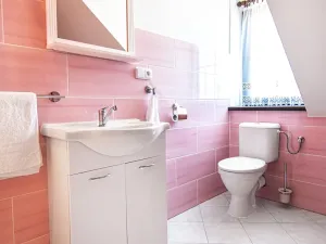 Prodej obchodního prostoru, Chocenice, 320 m2