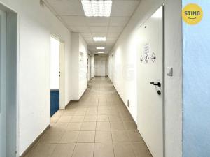 Pronájem skladu, Ostrava - Zábřeh, 480 m2