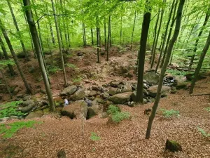 Prodej chalupy, Jindřichovice pod Smrkem, 150 m2