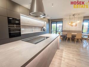 Prodej rodinného domu, Svinošice, 239 m2