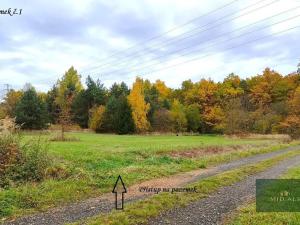 Prodej louky, Rokycany, K Lopatárně, 4651 m2