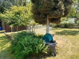 Prodej chaty, Borohrádek, 25 m2