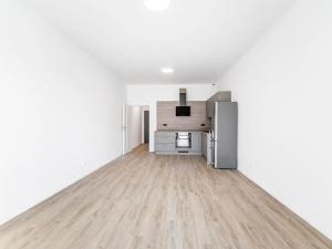 Pronájem bytu 1+kk, České Budějovice, 43 m2