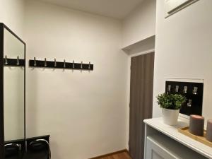 Pronájem bytu 2+kk, Mladá Boleslav, Koněvova, 46 m2