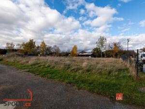 Prodej pozemku pro bydlení, Střížovice, 1041 m2