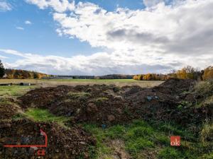 Prodej pozemku pro bydlení, Střížovice, 1041 m2