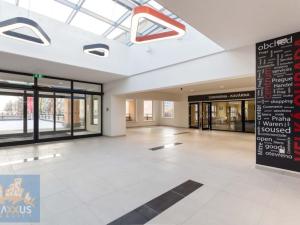 Pronájem obchodního prostoru, Praha - Stodůlky, Prusíkova, 102 m2